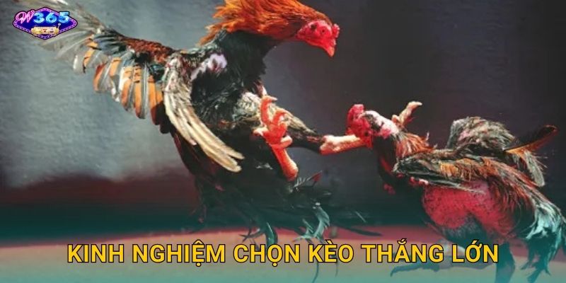 Kinh Nghiệm Chọn Kèo Thắng Lớn