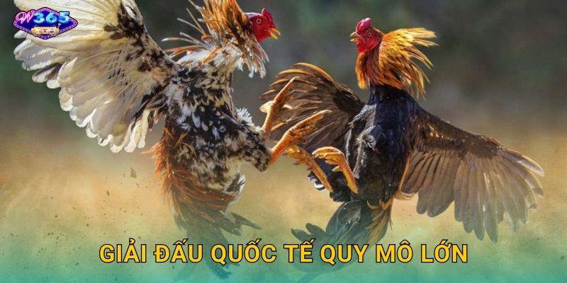 Giải Đấu Quốc Tế Quy Mô Lớn