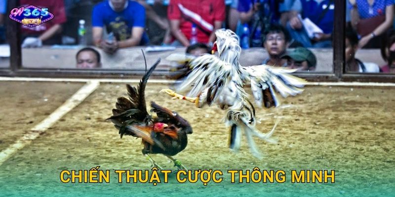 Chiến Thuật Cược Thông Minh