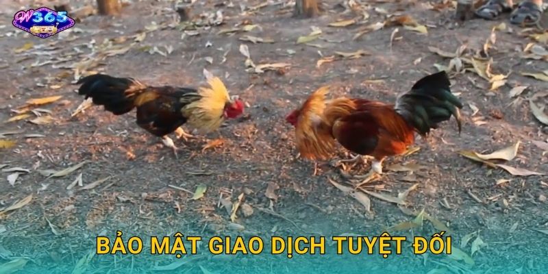 Bảo Mật Giao Dịch Tuyệt Đối