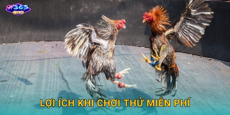 Lợi Ích Khi Chơi Thử Miễn Phí